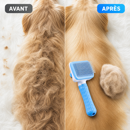 Brosse Anti-Poils Chien & Chat